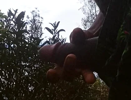 Solo Outside