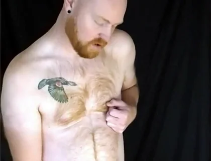You Like Lookin' at This Fuzzy Ginger Fella?