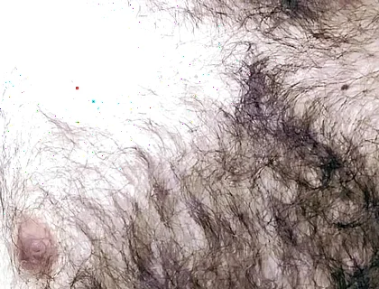 Revised Rotss_hot Volume 1