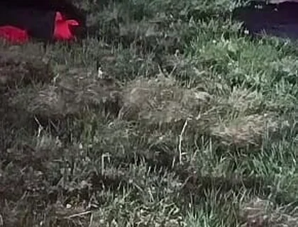 I Strip and Jerk off Outside at Night