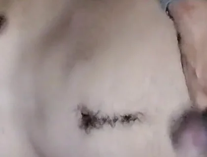 Ass Hole Show