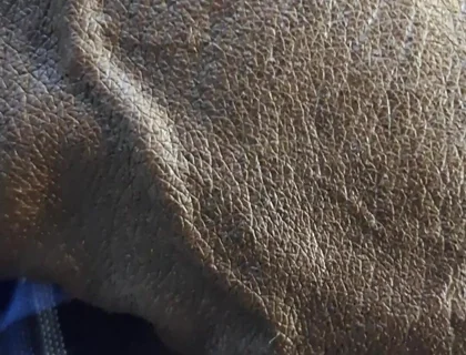 Veiny BBC Flashing