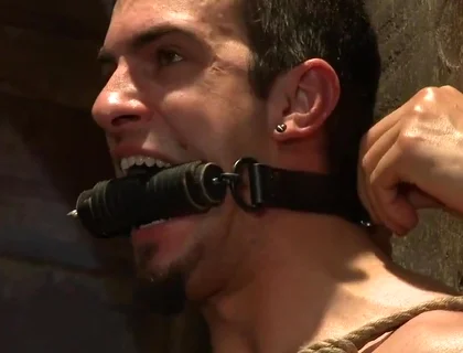 Phenix Rising - Phenix Saint And Patrick Rouge