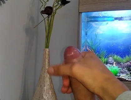 Hot Young Guy Wanks His Nice Big Cock Until He Cums Slowly in Front of the Aquarium