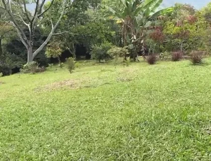 Horny Guy with Glasses Shows You His Morning Erection and Masturbates Outdoors - Andcristian