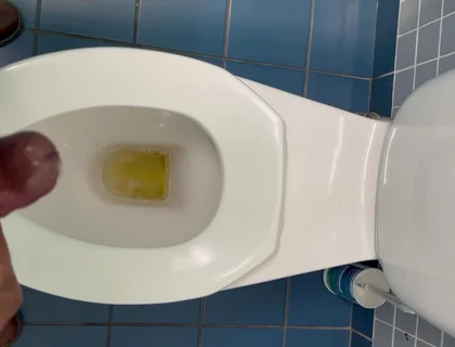 Jerking off in the Office Washroom