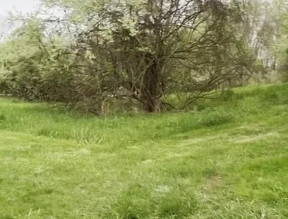 Jockstrap Park Tease: Muscular Asian Hunk Flexes, Fucks the Grass & Explodes in Cum