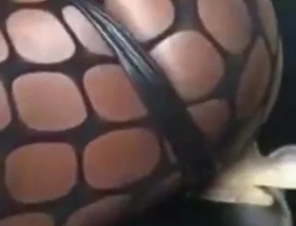 Fishnet Bodysuit Black Muscle Rides White Dildo