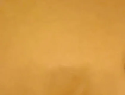 Black Cock Shots