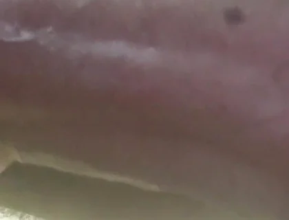 My Cock in a Vacuum