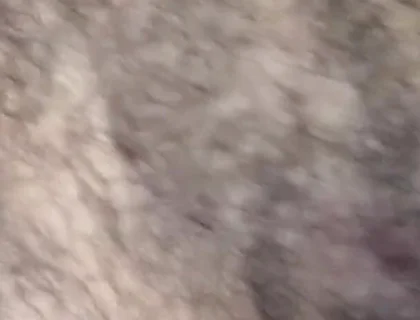 Some Fun Nipple Stuff for Titty Tuesday!