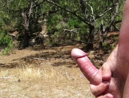 Nude Wank in the Woods and Fields 2