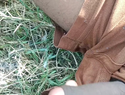 Desi Cock