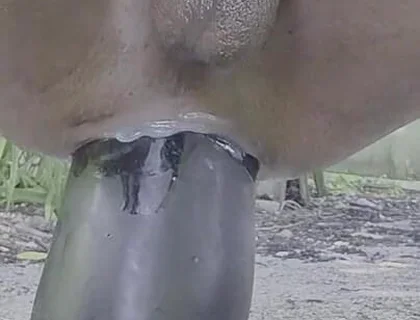 Extreme Pleasure