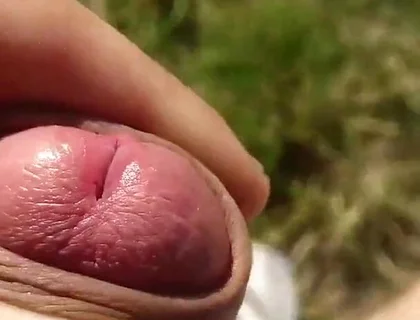 Risky Forest Wank