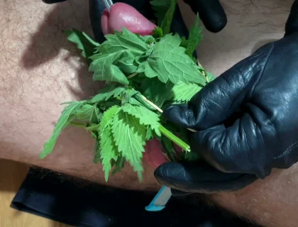 Cum with Nettles Inside Dick