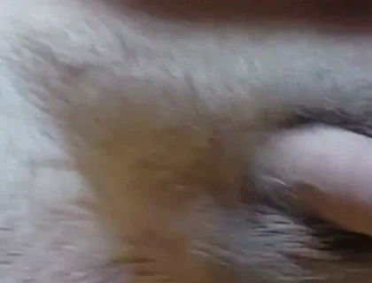 I'm Waving My Cock for You