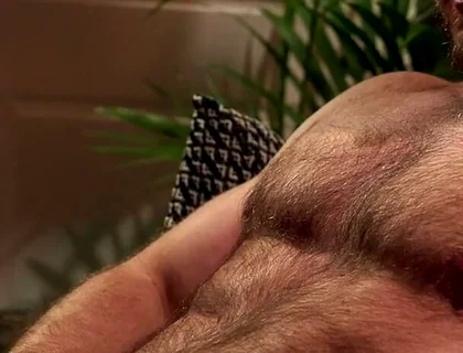 Breeding the Neighbor's Stepson