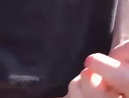 The Sunshine