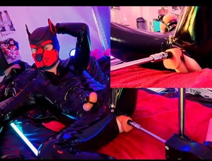 Nicolaus Rubber Show with Pet Mask