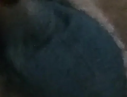Who Wants My Dick?