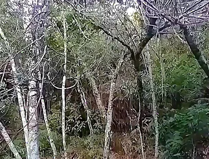I Went to the Waterfall and Showed off Before Someone Came and Caught Me.