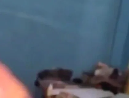 Haydenbbc Video