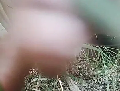 The Village Boy Went to the Cornfield and Hit Him Hard