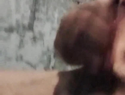 A Rare Sensation on the Cock