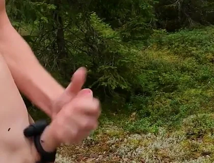 Me Against the Flies