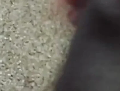 Lungi Hariy Cock Cum Licking Show