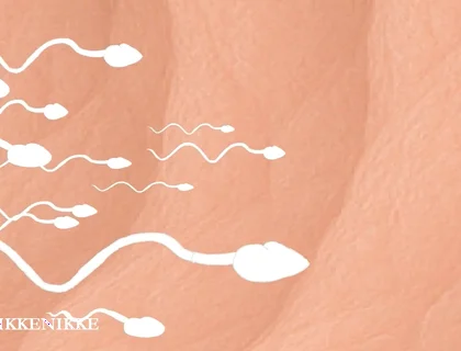Yaoi: Spermtazoid Game: Level up in Her Stuffed Little Ass