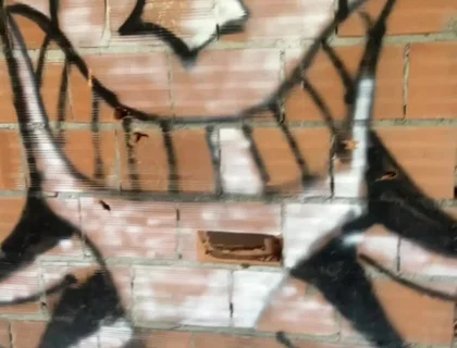 Amateur Boy Caught Bare Ass in Abandoned Building