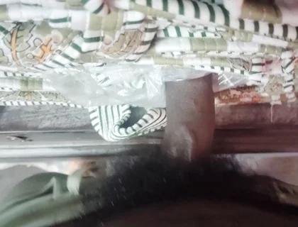 Desi Solo