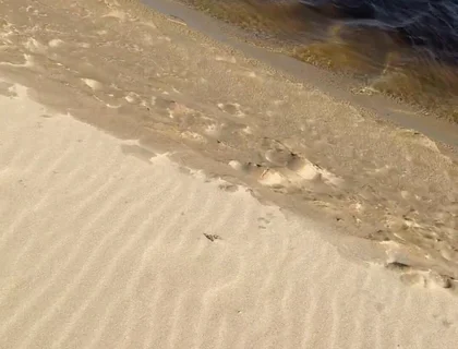 Beach Walk