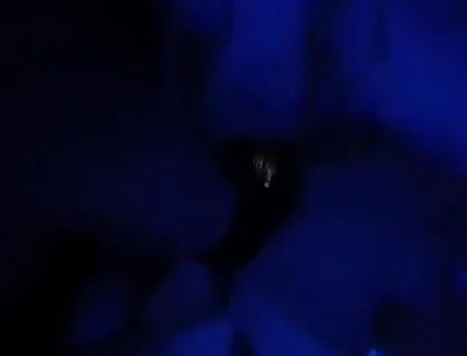 Blue Romance, Blowjob From a Sensual Blonde