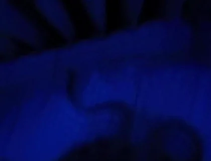 Blue Romance, Blowjob From a Sensual Blonde