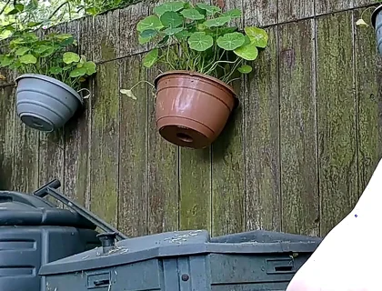 Live Outdoor Strip,dildo and Sounding Show with Cum