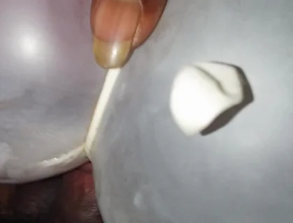 Thick Dick Adventures