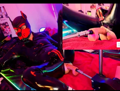 Doggy Rubber Show
