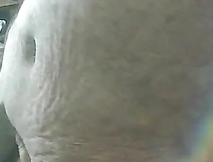 Cumshot & Jerking off