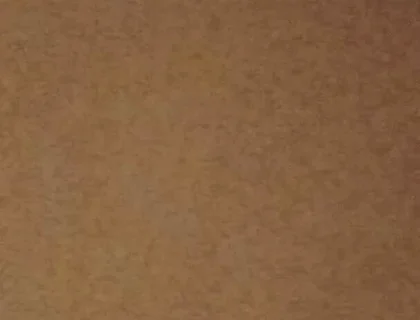 Lets Have Cum Together