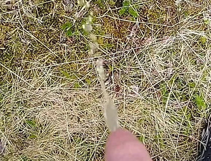 Pissing up in the Mountains