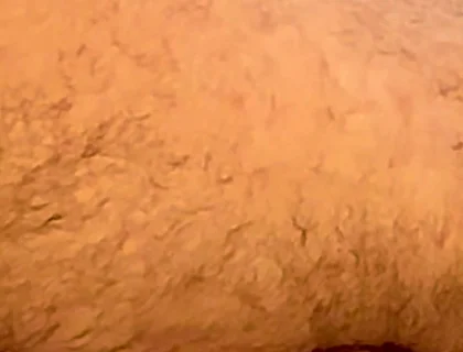 Broken Bear Fuck