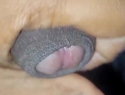 Desi Vergin Teen Gay Boy Jerking Himself