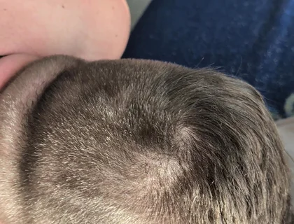 Hairy Stepdaddy Rimming and Railing His Fuck Toy and Cums a Lot