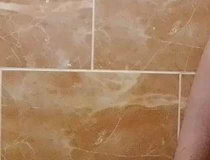 I Made a Video in the Toilet While Taking a Shower.