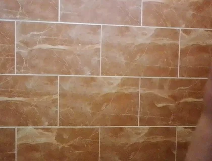 I Made a Video in the Toilet While Taking a Shower.