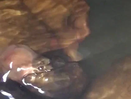 Peeing in the Bathtub