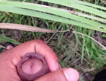 Masturbating in the Sugarcane Field